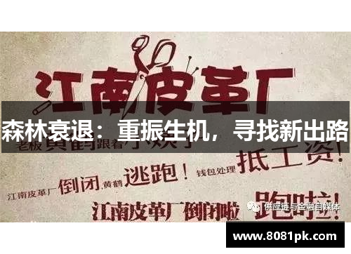 森林衰退：重振生机，寻找新出路